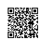 RT1206CRB07287KL QRCode