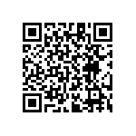 RT1206CRB0729K4L QRCode