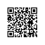 RT1206CRB0730R9L QRCode