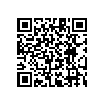 RT1206CRB0743R2L QRCode