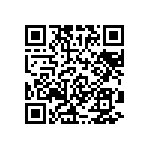 RT1206CRB076K19L QRCode