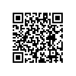 RT1206CRB07976RL QRCode