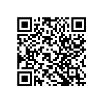 RT1206CRC0728KL QRCode