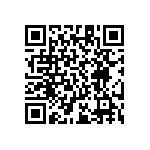 RT1206CRE07196KL QRCode