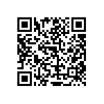 RT1206CRE0729R4L QRCode