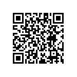 RT1206CRE07953KL QRCode