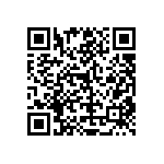 RT1206DRD071K96L QRCode