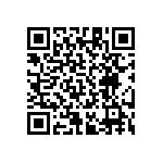 RT1206DRD07261RL QRCode