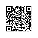 RT1206DRD07309RL QRCode