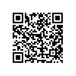 RT1206DRD0751R1L QRCode