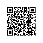 RT1206DRE07487RL QRCode