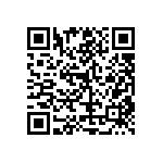 RT1206DRE074K87L QRCode