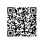 RT1206FRD07619RL QRCode