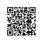 RT1206FRE0717K8L QRCode