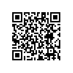 RT1206FRE0718K2L QRCode