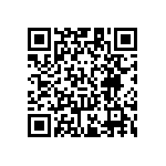 RT1206FRE071K2L QRCode