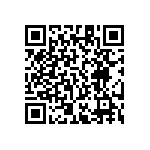 RT1206FRE074K53L QRCode