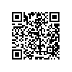 RT1206FRE07787KL QRCode