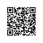 RT1206FRE078K87L QRCode