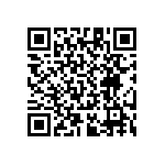 RT1206WRB07300RL QRCode