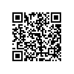 RT1206WRB07953RL QRCode