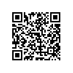 RT1206WRC07787RL QRCode