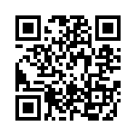 RT12C2P101 QRCode