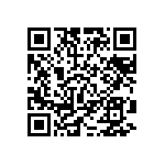 RT2010DKE07178RL QRCode