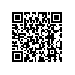 RT2010FKE0711R8L QRCode