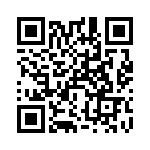 RT22C2L502M QRCode