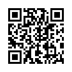 RT24C2W101 QRCode