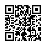 RT9595PGQW QRCode