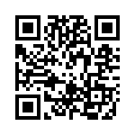 RT9991GQV QRCode