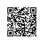 RWR80S1R33FRS73 QRCode