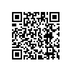 S912XET256J2MAA QRCode