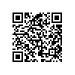 SIT2024BEFS-XXE QRCode