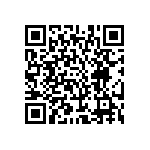 SJTG06RT-10-98SA QRCode