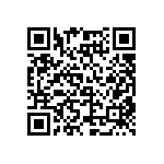 SMBG5379CE3-TR13 QRCode