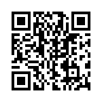 SMBG5953C-TR13 QRCode