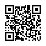 T101SK9V3BE QRCode