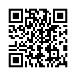 T29-8056-1 QRCode