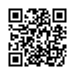 T29-9368-1 QRCode