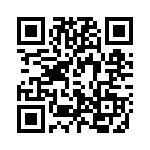 T3104-081 QRCode