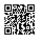 T37163-21-0 QRCode