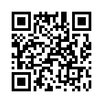 T38020-02-0 QRCode