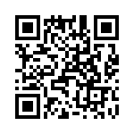 T38022-17-0 QRCode