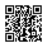 T38025-13-0 QRCode