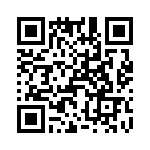 T38028-01-0 QRCode