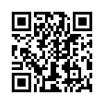 T38028-06-0 QRCode