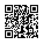 T38028-12-0 QRCode